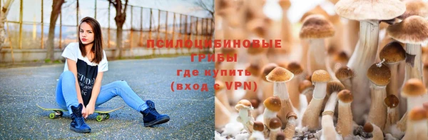 прущая мука Нязепетровск