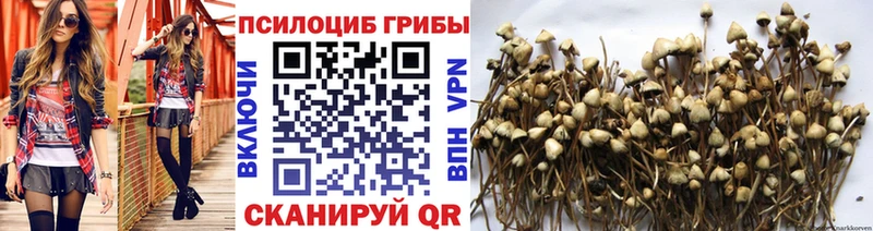 shop официальный сайт Пудож Псилоцибиновые грибы Magic Shrooms